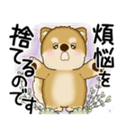 柴犬 2025 「悟りました」（個別スタンプ：39）