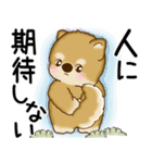 柴犬 2025 「悟りました」（個別スタンプ：40）