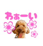 黒さきプリン  PINK（個別スタンプ：2）