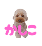 黒さきプリン  PINK（個別スタンプ：4）