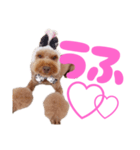 黒さきプリン  PINK（個別スタンプ：5）