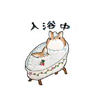 むぎときなこ 10（個別スタンプ：8）
