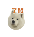 もふもふっ！わんちゃん（個別スタンプ：7）