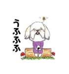 かわいすぎるわんこ達29（個別スタンプ：3）