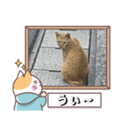 しょ〜り〜（個別スタンプ：2）