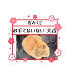 しょ〜り〜（個別スタンプ：6）