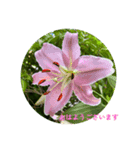 おはようの花（個別スタンプ：3）