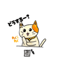 みおりちゃんちのねこちゃん その2（個別スタンプ：3）