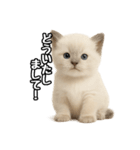 日常会話verラグドールの子猫（個別スタンプ：10）