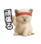 日常会話verラグドールの子猫（個別スタンプ：17）
