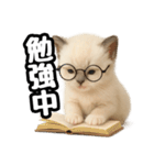日常会話verラグドールの子猫（個別スタンプ：26）