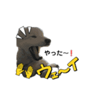 愛犬サモエド（part2）（個別スタンプ：14）