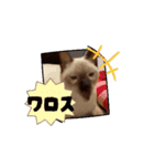 お酒とネコ好きな日常会話 40（個別スタンプ：10）