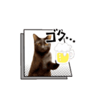 お酒とネコ好きな日常会話 40（個別スタンプ：14）