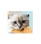 猫達が 動くよ自然のなかで（個別スタンプ：3）