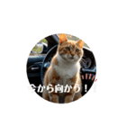 猫達が 動くよ自然のなかで（個別スタンプ：5）