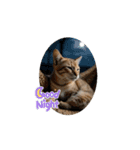 猫達が 動くよ自然のなかで（個別スタンプ：14）
