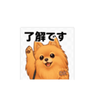 ポメラニアン_（個別スタンプ：1）