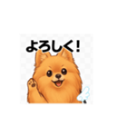 ポメラニアン_（個別スタンプ：2）