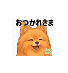 ポメラニアン_（個別スタンプ：4）