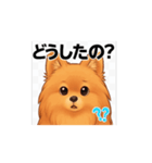 ポメラニアン_（個別スタンプ：7）