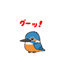 カワセミン（動く挨拶 その1）（個別スタンプ：2）