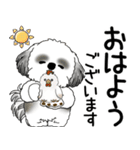 B＆Wシーズー犬  「飛び出す」よく使う言葉（個別スタンプ：1）