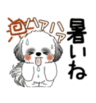 B＆Wシーズー犬  「飛び出す」よく使う言葉（個別スタンプ：3）