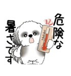 B＆Wシーズー犬  「飛び出す」よく使う言葉（個別スタンプ：4）