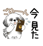 B＆Wシーズー犬  「飛び出す」よく使う言葉（個別スタンプ：5）