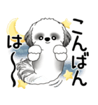 B＆Wシーズー犬  「飛び出す」よく使う言葉（個別スタンプ：6）