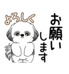 B＆Wシーズー犬  「飛び出す」よく使う言葉（個別スタンプ：8）