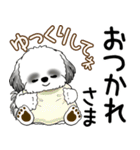 B＆Wシーズー犬  「飛び出す」よく使う言葉（個別スタンプ：9）