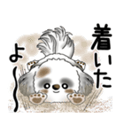 B＆Wシーズー犬  「飛び出す」よく使う言葉（個別スタンプ：10）