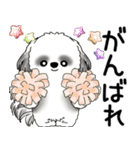 B＆Wシーズー犬  「飛び出す」よく使う言葉（個別スタンプ：11）