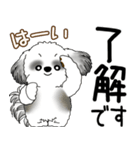 B＆Wシーズー犬  「飛び出す」よく使う言葉（個別スタンプ：12）