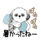 B＆Wシーズー犬  「飛び出す」よく使う言葉（個別スタンプ：13）