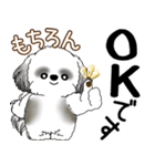 B＆Wシーズー犬  「飛び出す」よく使う言葉（個別スタンプ：16）