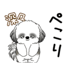 B＆Wシーズー犬  「飛び出す」よく使う言葉（個別スタンプ：18）