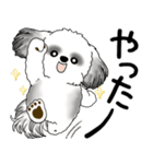 B＆Wシーズー犬  「飛び出す」よく使う言葉（個別スタンプ：19）