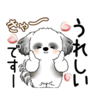 B＆Wシーズー犬  「飛び出す」よく使う言葉（個別スタンプ：20）
