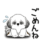 B＆Wシーズー犬  「飛び出す」よく使う言葉（個別スタンプ：22）