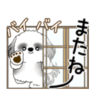 B＆Wシーズー犬  「飛び出す」よく使う言葉（個別スタンプ：23）