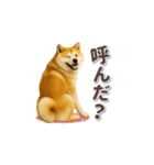 秋田犬の毎日送りやすいスタンプ（個別スタンプ：8）