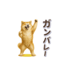 秋田犬の毎日送りやすいスタンプ（個別スタンプ：12）
