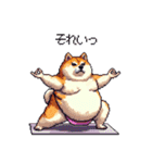 ヨガするふとっちょ柴犬（個別スタンプ：4）