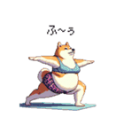 ヨガするふとっちょ柴犬（個別スタンプ：6）