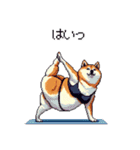 ヨガするふとっちょ柴犬（個別スタンプ：8）