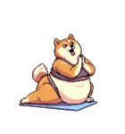 ヨガするふとっちょ柴犬（個別スタンプ：16）