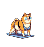 ヨガするふとっちょ柴犬（個別スタンプ：17）